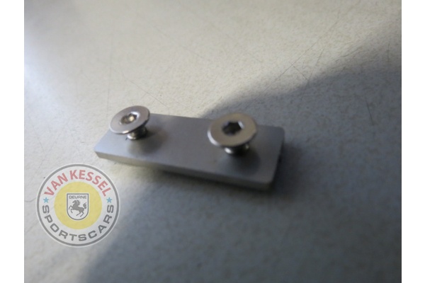 Targa roof plate including screws